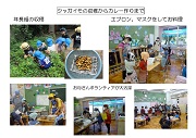 ジャガイモの収穫とカレー作り